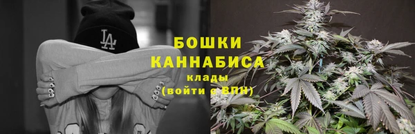 прущие крисы Арсеньев