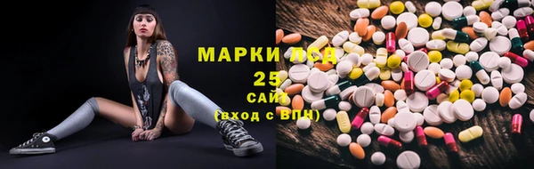 индика Сатка