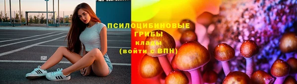 спайс Аркадак