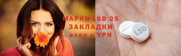 спайс Аркадак