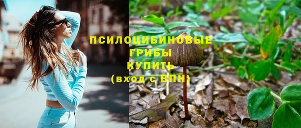 спайс Аркадак