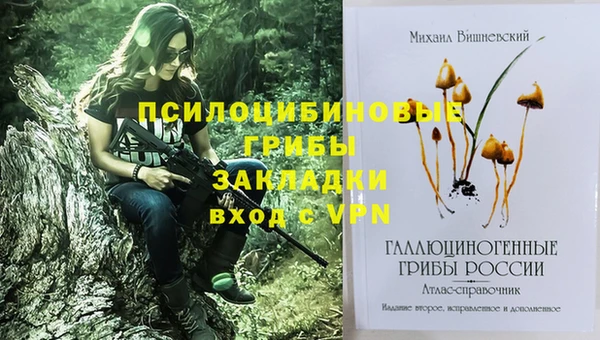 спайс Аркадак