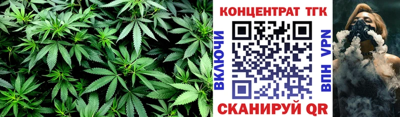 Дистиллят ТГК Wax  Малмыж 